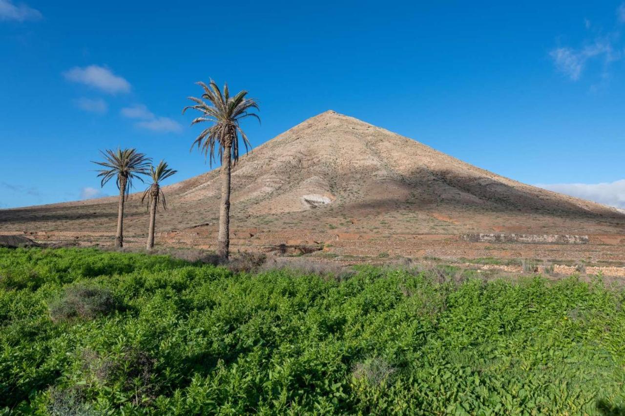 Hébergement de vacances Mammanico Corralejo